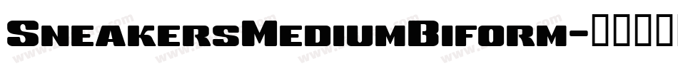 SneakersMediumBiform字体转换