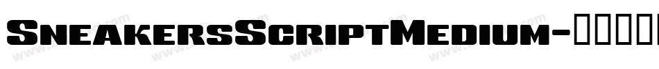 SneakersScriptMedium字体转换