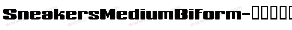 SneakersMediumBiform字体转换