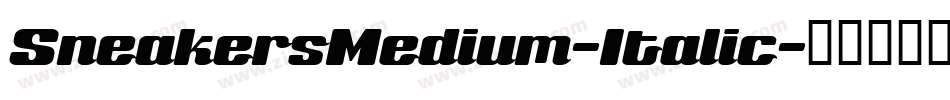 SneakersMedium-Italic字体转换