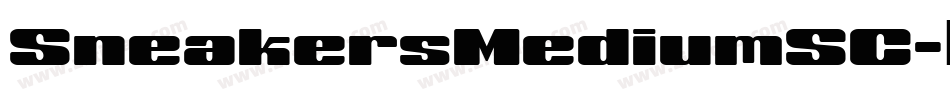 SneakersMediumSC字体转换