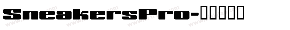 SneakersPro字体转换