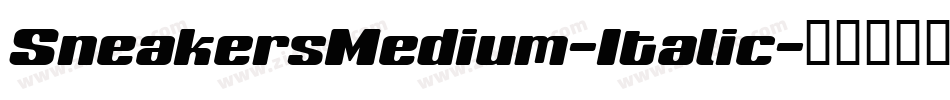 SneakersMedium-Italic字体转换