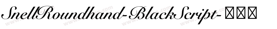 SnellRoundhand-BlackScript字体转换
