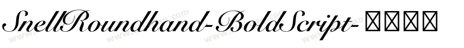 SnellRoundhand-BoldScript字体转换