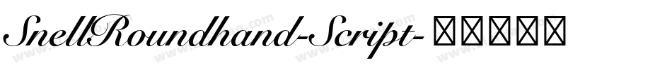 SnellRoundhand-Script字体转换