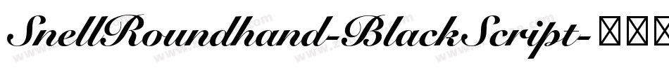 SnellRoundhand-BlackScript字体转换