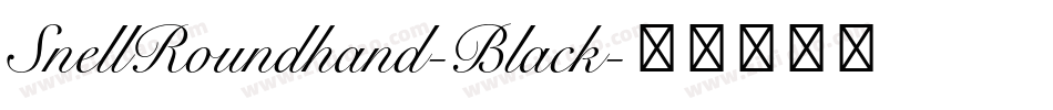 SnellRoundhand-Black字体转换