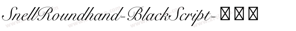 SnellRoundhand-BlackScript字体转换