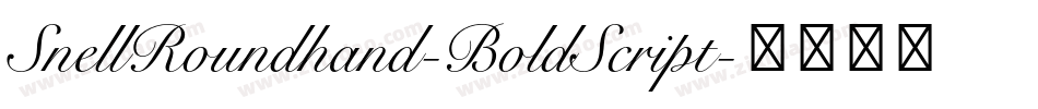 SnellRoundhand-BoldScript字体转换