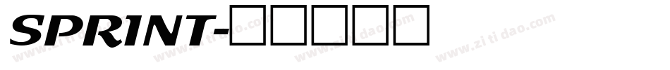 SPRINT字体转换