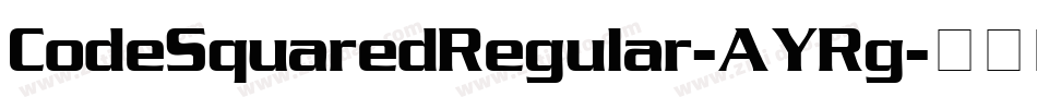CodeSquaredRegular-AYRg字体转换