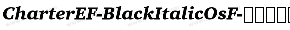 CharterEF-BlackItalicOsF字体转换