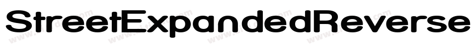 StreetExpandedReverseItalic-g7p字体转换