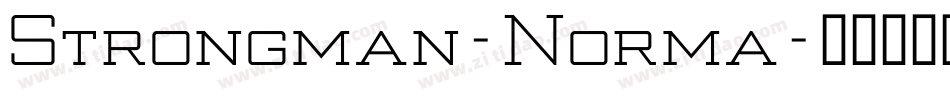 Strongman-Norma字体转换
