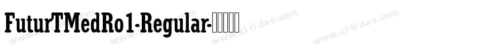 FuturTMedRo1-Regular字体转换