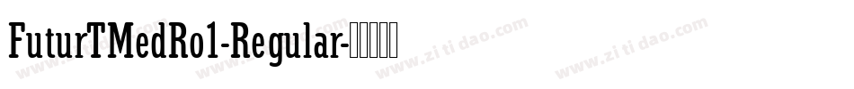 FuturTMedRo1-Regular字体转换