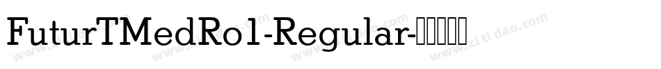 FuturTMedRo1-Regular字体转换