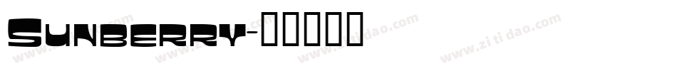 Sunberry字体转换