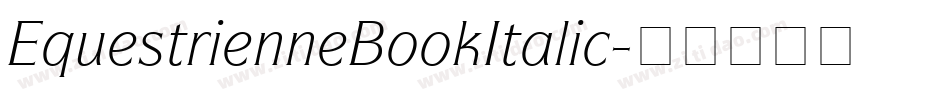 EquestrienneBookItalic字体转换