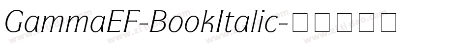 GammaEF-BookItalic字体转换