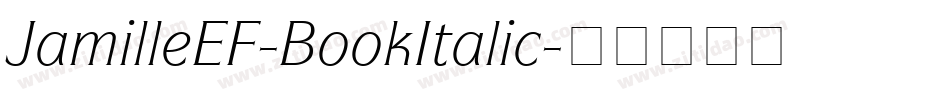 JamilleEF-BookItalic字体转换