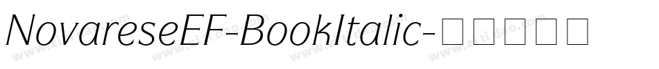 NovareseEF-BookItalic字体转换
