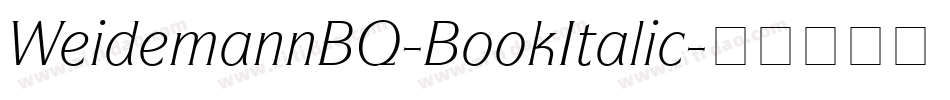 WeidemannBQ-BookItalic字体转换