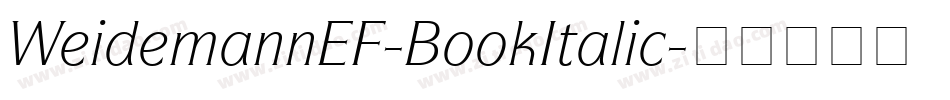WeidemannEF-BookItalic字体转换