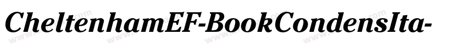 CheltenhamEF-BookCondensIta字体转换