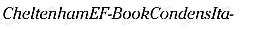 CheltenhamEF-BookCondensIta字体转换