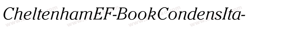 CheltenhamEF-BookCondensIta字体转换