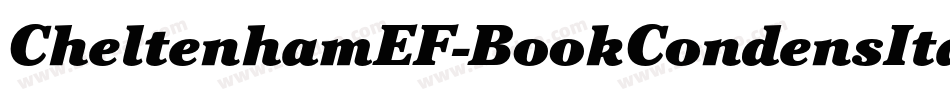CheltenhamEF-BookCondensIta字体转换