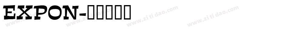 EXPON字体转换