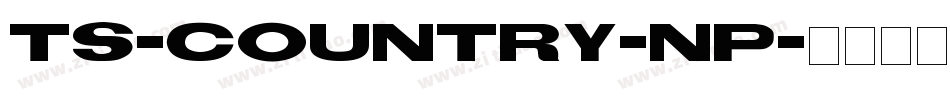 TS-Country-NP字体转换