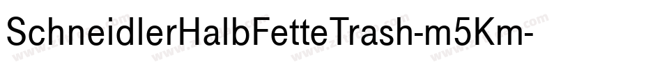 SchneidlerHalbFetteTrash-m5Km字体转换