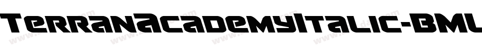 TerranAcademyItalic-BMLB字体转换