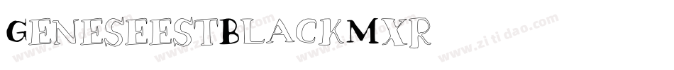 GeneseestBlack-M9xr字体转换