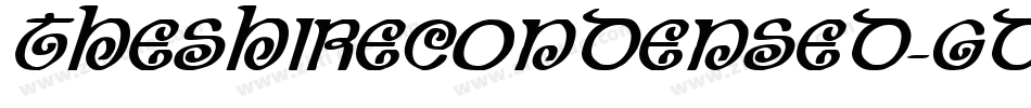 TheShireCondensed-gdqY字体转换 TheShireCondensed-gdqY字体转换