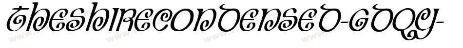 TheShireCondensed-gdqY字体转换 TheShireCondensed-gdqY字体转换