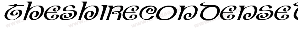 TheShireCondensed-gdqY字体转换 TheShireCondensed-gdqY字体转换