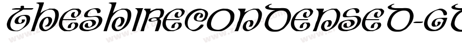 TheShireCondensed-gdqY字体转换 TheShireCondensed-gdqY字体转换