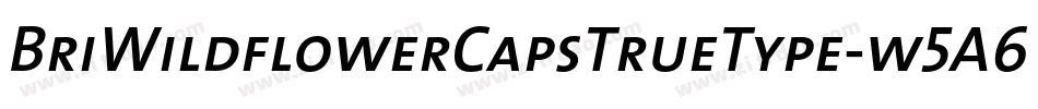 BriWildflowerCapsTrueType-w5A6字体转换