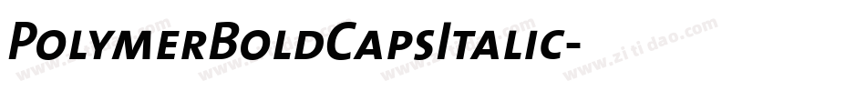 PolymerBoldCapsItalic字体转换