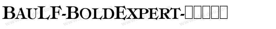 BauLF-BoldExpert字体转换