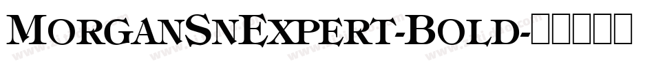 MorganSnExpert-Bold字体转换