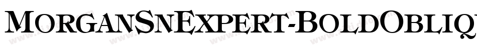 MorganSnExpert-BoldOblique字体转换