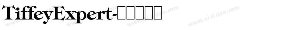 TiffeyExpert字体转换