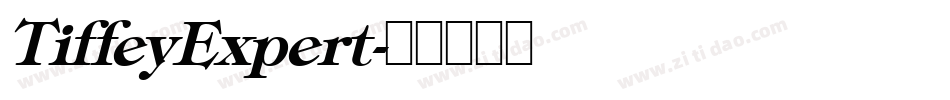 TiffeyExpert字体转换