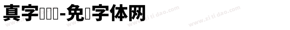 真字库设计字体转换